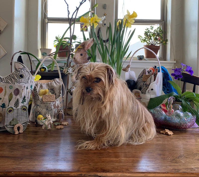 Coral & Tusk Easter baskets, bags, pouches, pins, cards and Easter candy and flowers in front of a window with Stephanie's mom's dog Chichi posing