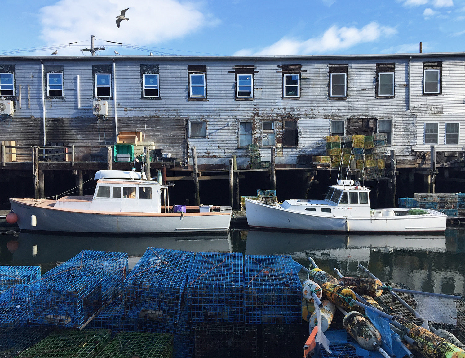 Fishing boats docked on the water in Maine, building behind, seagulls flying overhead.