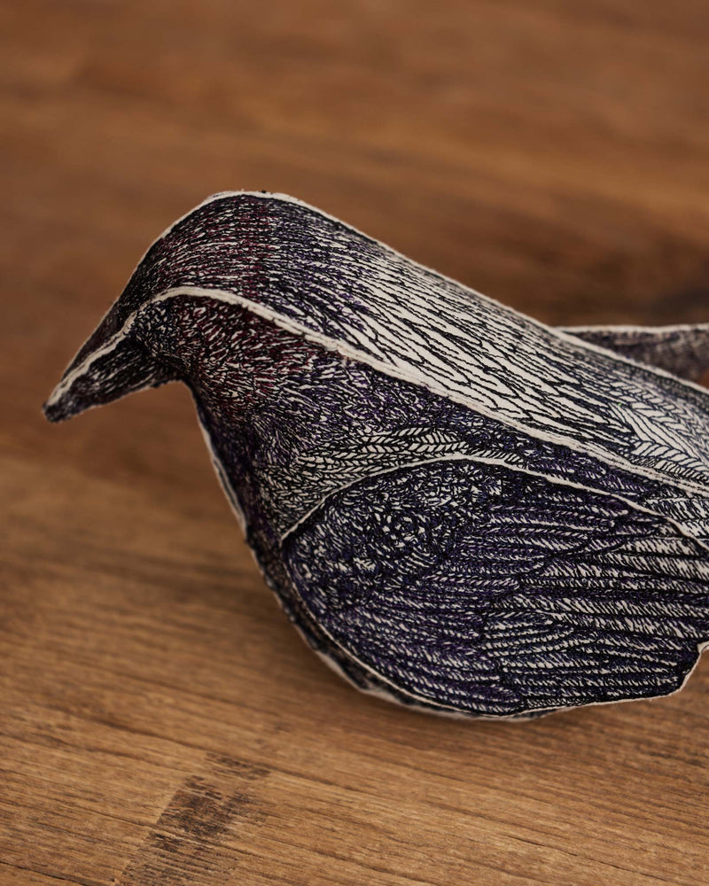 Blackbird of Mystery