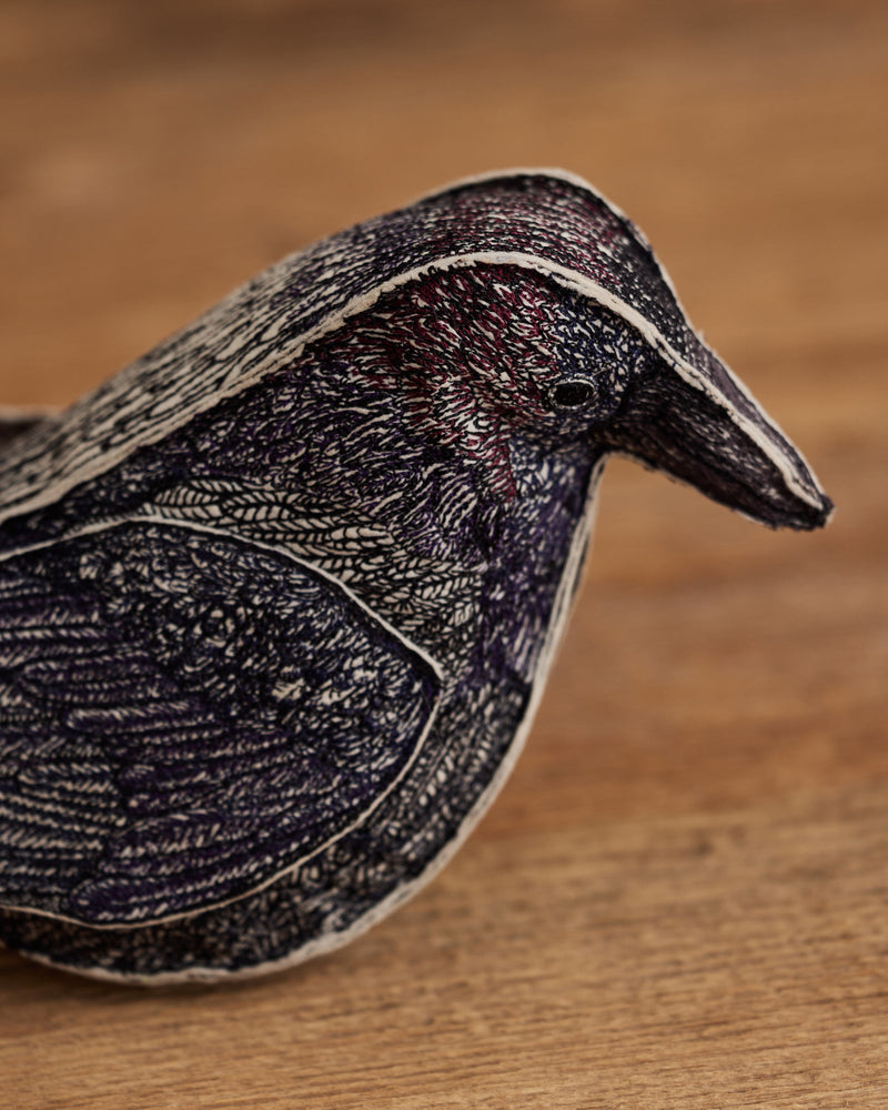 Blackbird of Mystery