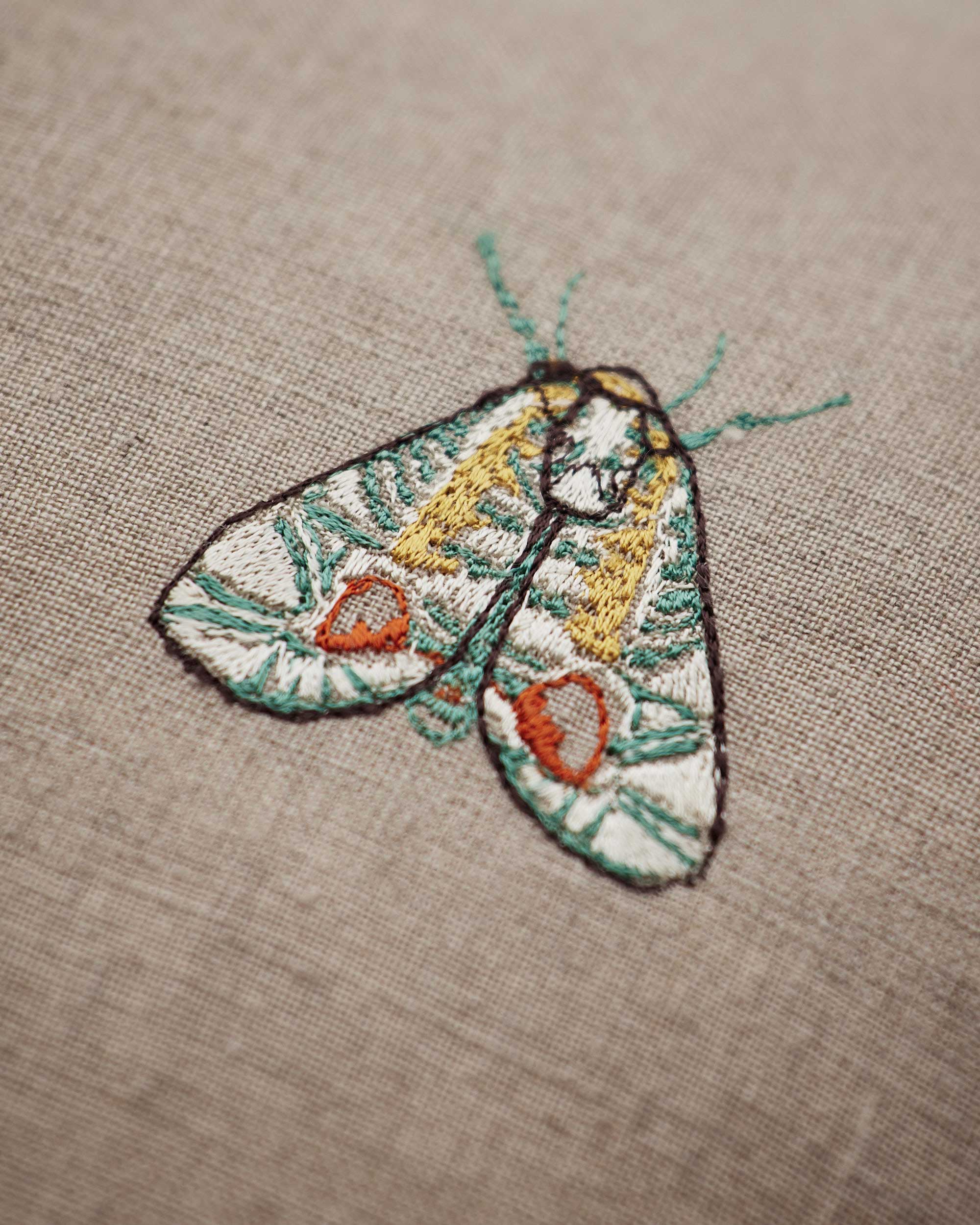 Wings Pillow