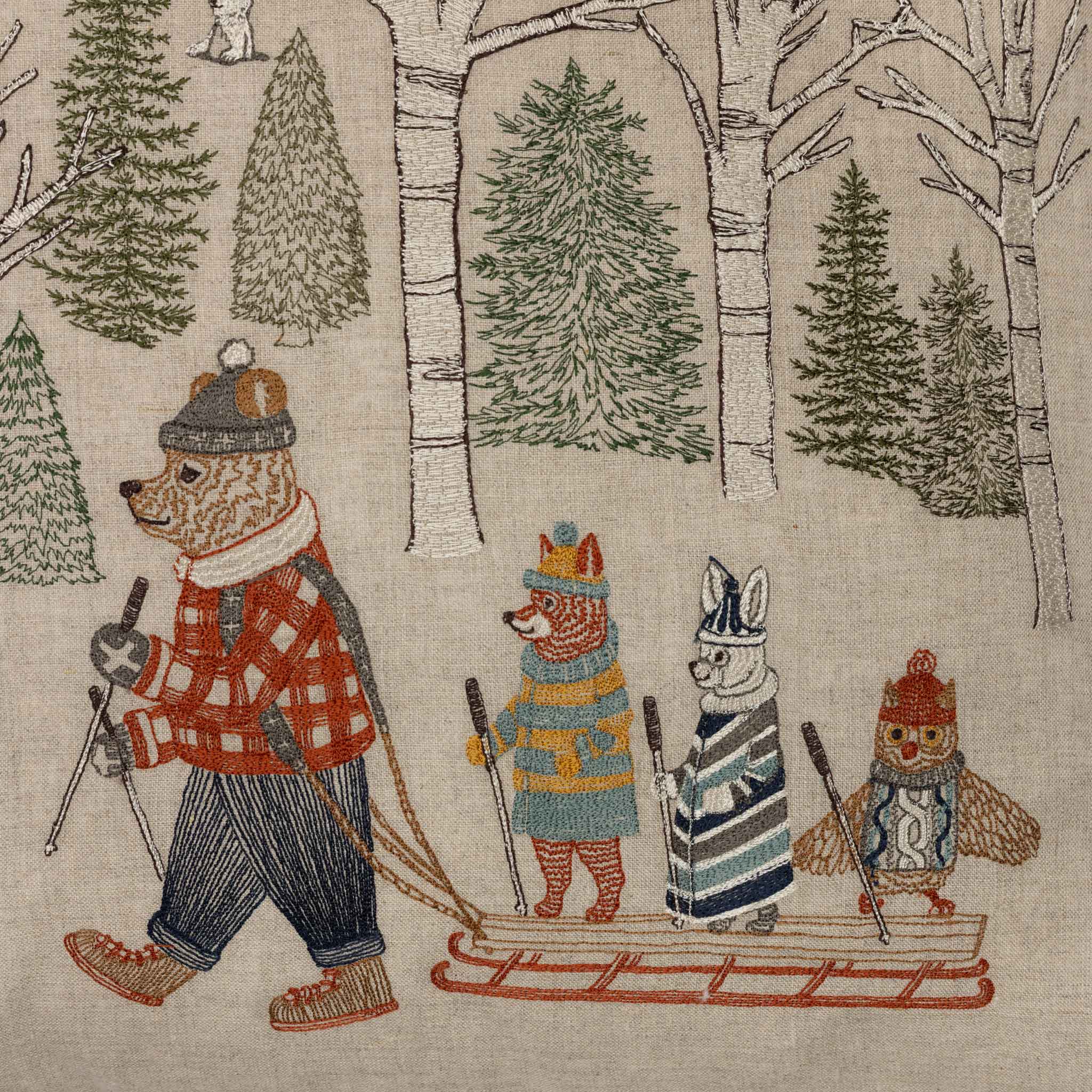 Winter Fun Pillow