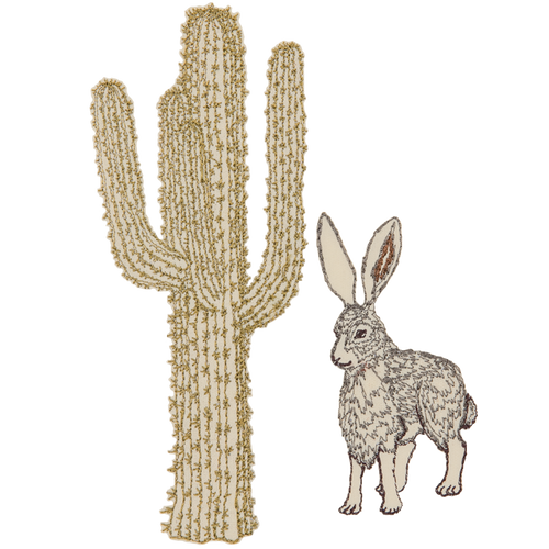 Desert