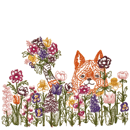 Spring